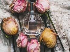 pexels-kpaukshtite-713042